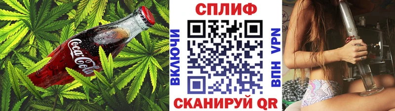 Купить  Аргун  Cannafood конопля 