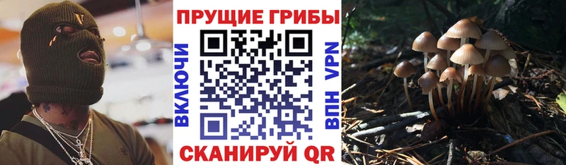 Галлюциногенные грибы GOLDEN TEACHER  Купить где  Аргун 